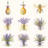 Honey and Herbs Floral Arrangements, Lavender Floral PNG, Lavender Bouquet, Herbal Floral Art, Floral Decor, Ornaments, Digital download