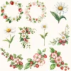 Strawberry Market Floral Arrangements, Spring Fruit PNG, Daisy Bouquet, Strawberry Blossom Art, Floral Decor, Ornaments, Digital download