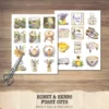 Honey and Herbs Clipart Set – Lavender Herb Illustrations, Honey Pot Graphics, Rustic Recipe, Rosemary PNG Clipart, Digital download