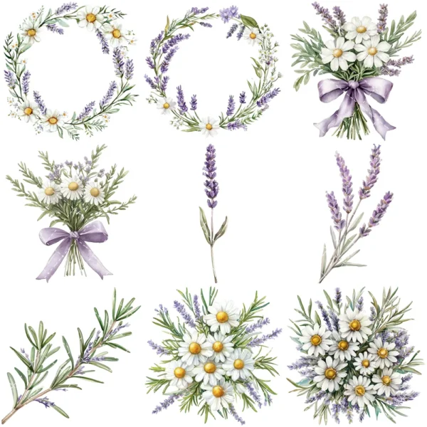 Gentle Apothecary Floral Arrangements, Harbal Floral PNG, Lavender Bouquet, Chamomile Art, Rosemary PNG, Decor, Ornaments, Digital Download