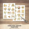 Honey Petal Archive Clipart Set – Vintage Botanical Illustrations, Antique Floral Graphics, Springtime, Spring Peony, Digital download