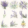 Honey and Herbs Floral Arrangements, Lavender Floral PNG, Lavender Bouquet, Herbal Floral Art, Floral Decor, Ornaments, Digital download
