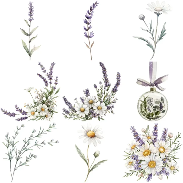 Gentle Apothecary Floral Arrangements, Harbal Floral PNG, Lavender Bouquet, Chamomile Art, Rosemary PNG, Decor, Ornaments, Digital Download