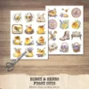 Honey and Herbs Clipart Set – Lavender Herb Illustrations, Honey Pot Graphics, Rustic Recipe, Rosemary PNG Clipart, Digital download