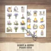 Honey and Herbs Clipart Set – Lavender Herb Illustrations, Honey Pot Graphics, Rustic Recipe, Rosemary PNG Clipart, Digital download