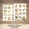 Honey Petal Archive Clipart Set – Vintage Botanical Illustrations, Antique Floral Graphics, Springtime, Spring Peony, Digital download