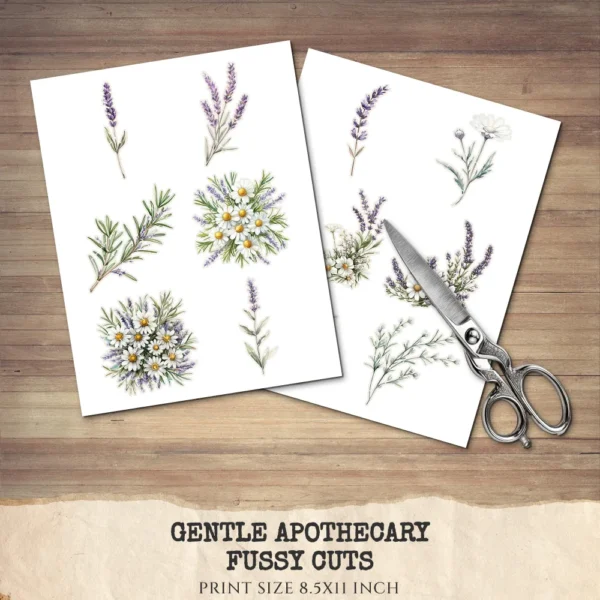 Gentle Apothecary Floral Arrangements, Harbal Floral PNG, Lavender Bouquet, Chamomile Art, Rosemary PNG, Decor, Ornaments, Digital Download