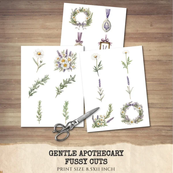 Gentle Apothecary Floral Arrangements, Harbal Floral PNG, Lavender Bouquet, Chamomile Art, Rosemary PNG, Decor, Ornaments, Digital Download