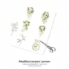 Mediterranean Lemon Floral Arrangements, Italian Lemon PNG, Lemon Blossom Bouquet, Jasmine Art, Summer Decor, Ornaments, Digital Download