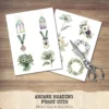 Arcane Reading Floral Arrangements, Poppy Floral PNG, Poppy Bouquet, Springtime Art, Forest, Reading Decor, Ornaments, Digital Download
