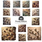 Pussy Willow With Animal PNG Clipart Collection - 35 PNG, Kitten Graphics, Mice, Bunny, Fluffy Printables, Commercial use, Digital download