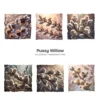 Pussy Willow With Animal PNG Clipart Collection - 35 PNG, Kitten Graphics, Mice, Bunny, Fluffy Printables, Commercial use, Digital download