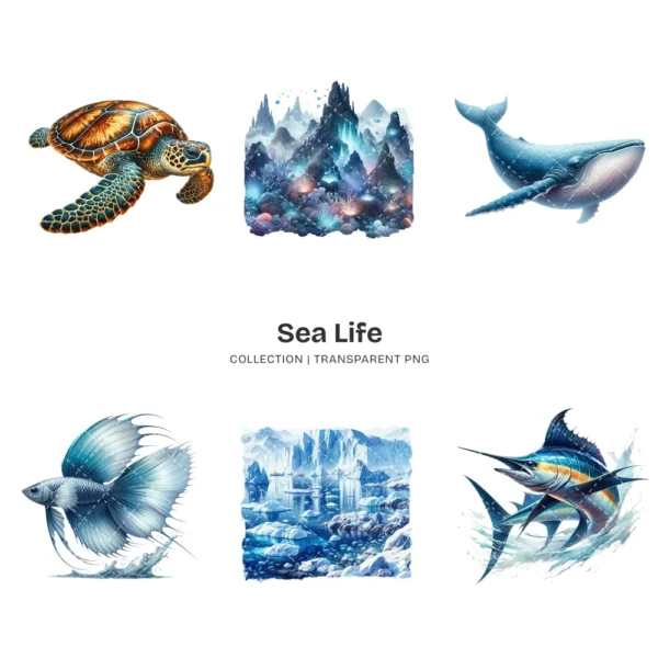 Sea Life PNG Clipart Collection - 60 PNG, Marine Animal Graphics, Underwater, Ocean Stuff Printables, Commercial use, Digital download