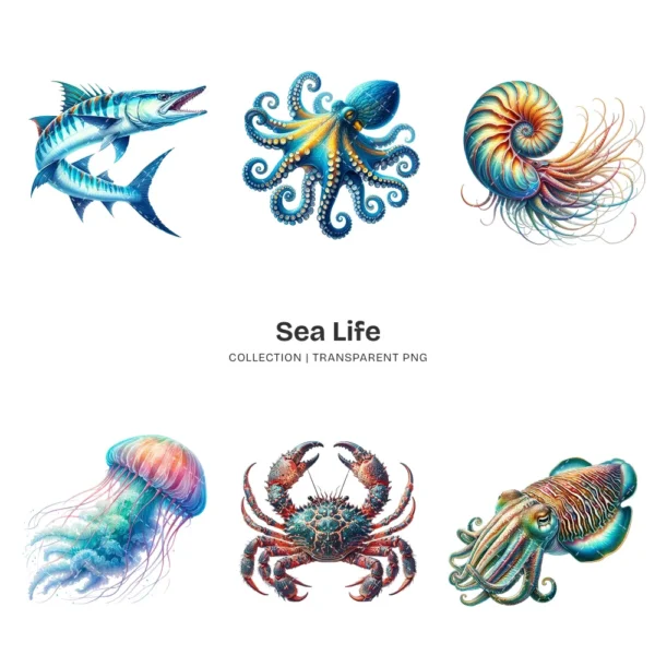 Sea Life PNG Clipart Collection - 60 PNG, Marine Animal Graphics, Underwater, Ocean Stuff Printables, Commercial use, Digital download