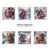 Winter Squirrel JPG Clipart Collection - 60 JPG, Snow Animal Graphics, Winter Woodland Printables, Commercial use, Digital download