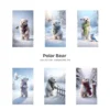 Polar Bear JPG Clipart Collection - 60 JPG, snowy animal Graphics, Christmas Bear, Arctic Winter Printable, Commercial use, Digital download