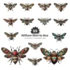 William Morris Bee PNG Clipart Collection - 55 PNG, Victorian Bee Graphics, Ornamental Patterns Printable, Commercial use, Digital download