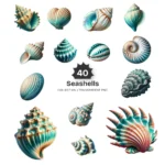 Seashells PNG Clipart Collection - 40 PNG, Ocean Beach Shell Graphics, Seaside Element, Nautical Printable, Commercial use, Digital download
