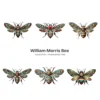 William Morris Bee PNG Clipart Collection - 55 PNG, Victorian Bee Graphics, Ornamental Patterns Printable, Commercial use, Digital download