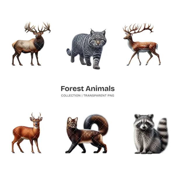 Forest Animals PNG Clipart Collection - 50 PNG, Rustic Wildlife Graphics, Forest Creatures Printable, Commercial use, Digital download