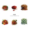 Chili PNG Clipart Collection - 44 PNG, Chilli Peppers Graphics, Chili Plant, Chilli Sauce Printables, Commercial use, Digital download