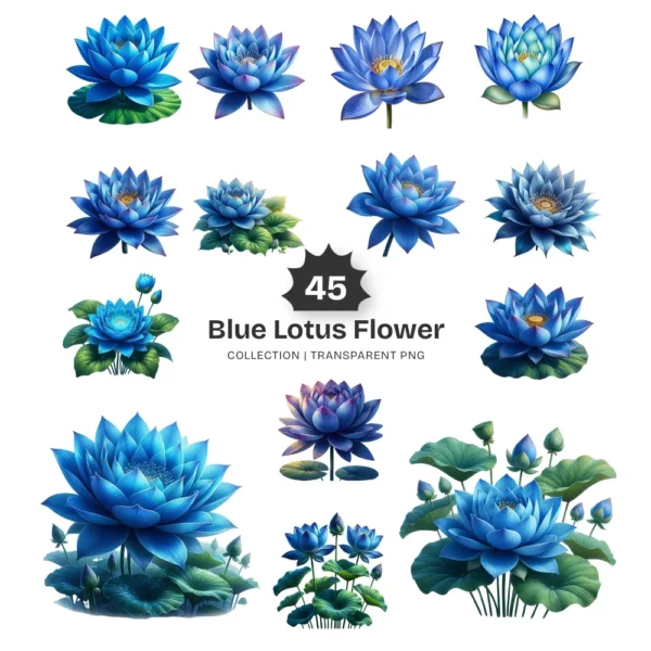 Blue Lotus Flower PNG Clipart Collection - 45 PNG, Spirituality Floral Graphics, Botanical Art Printable, Commercial use, Digital download