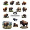Majestic Bison PNG Clipart Collection - 40 PNG, Forest Wild Animal Graphics, Wildlife Printables, Commercial use, Digital download