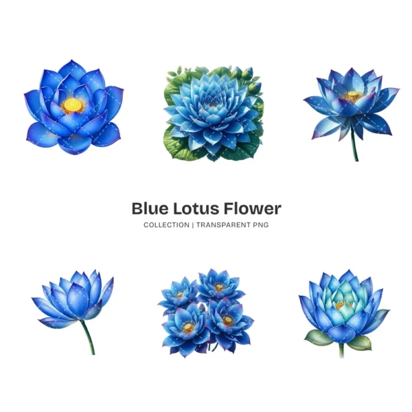 Blue Lotus Flower PNG Clipart Collection - 45 PNG, Spirituality Floral Graphics, Botanical Art Printable, Commercial use, Digital download