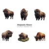 Majestic Bison PNG Clipart Collection - 40 PNG, Forest Wild Animal Graphics, Wildlife Printables, Commercial use, Digital download