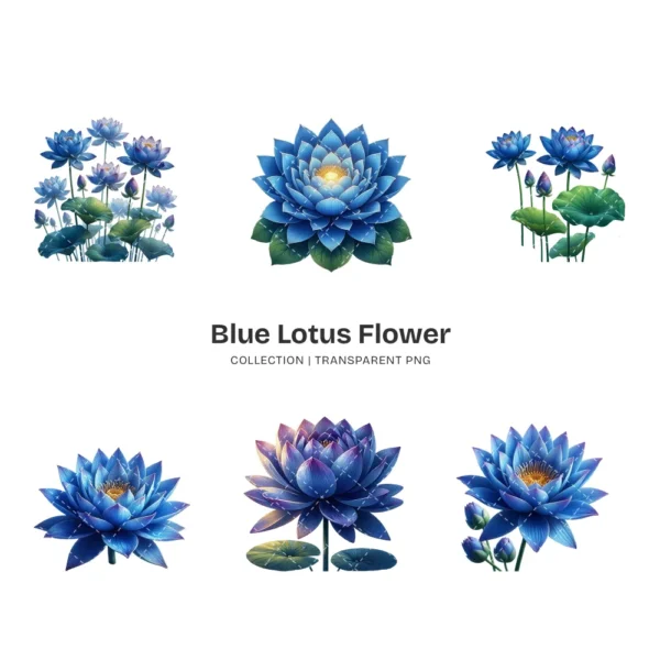 Blue Lotus Flower PNG Clipart Collection - 45 PNG, Spirituality Floral Graphics, Botanical Art Printable, Commercial use, Digital download