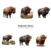 Majestic Bison PNG Clipart Collection - 40 PNG, Forest Wild Animal Graphics, Wildlife Printables, Commercial use, Digital download