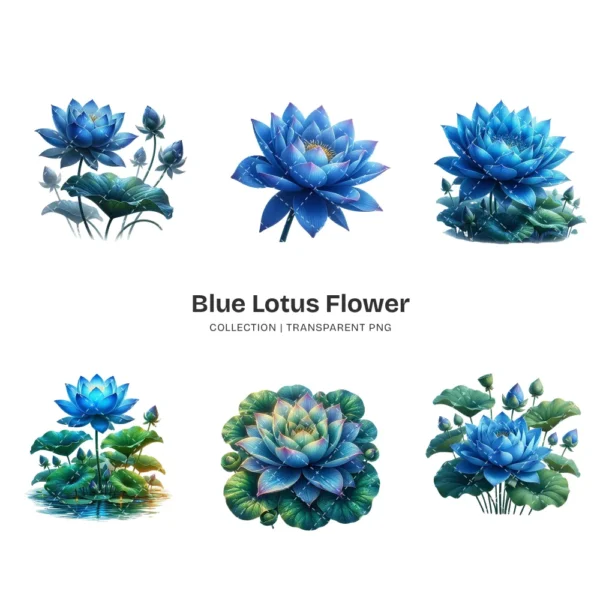Blue Lotus Flower PNG Clipart Collection - 45 PNG, Spirituality Floral Graphics, Botanical Art Printable, Commercial use, Digital download