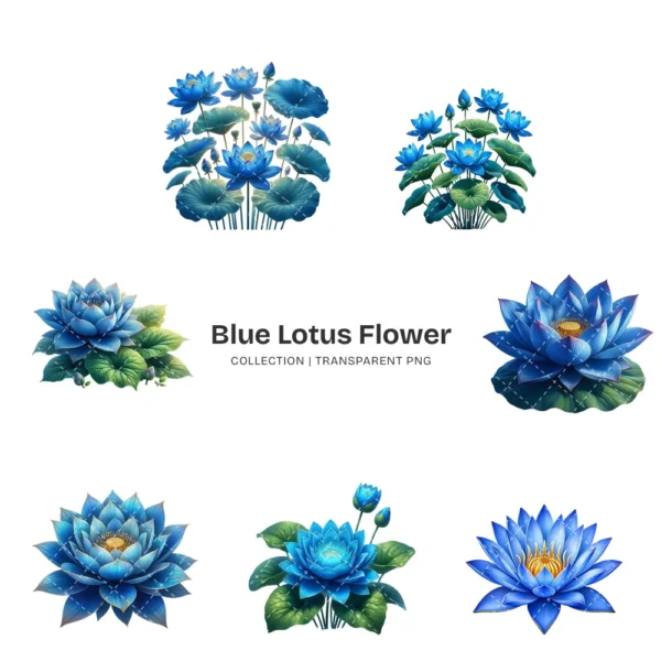 Blue Lotus Flower PNG Clipart Collection - 45 PNG, Spirituality Floral Graphics, Botanical Art Printable, Commercial use, Digital download