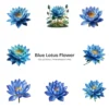 Blue Lotus Flower PNG Clipart Collection - 45 PNG, Spirituality Floral Graphics, Botanical Art Printable, Commercial use, Digital download