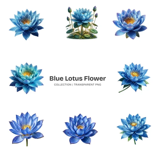 Blue Lotus Flower PNG Clipart Collection - 45 PNG, Spirituality Floral Graphics, Botanical Art Printable, Commercial use, Digital download